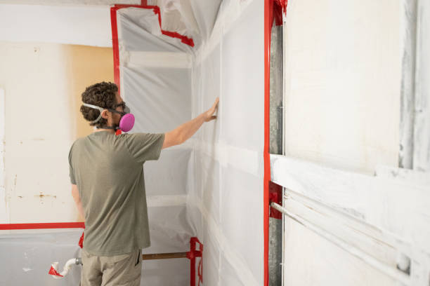 Best Mold Remediation for Healthcare Facilities  in Ansted, WV