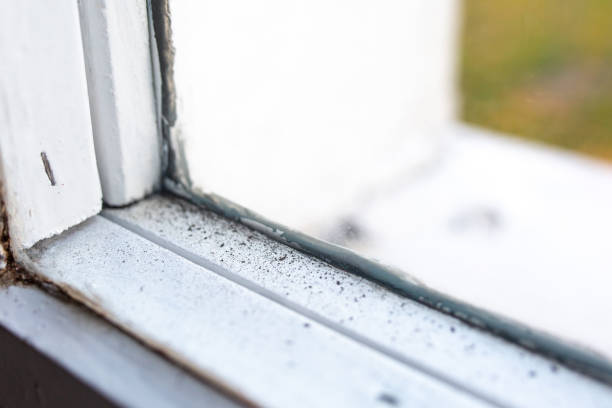 Dehumidification Services in Ansted, WV