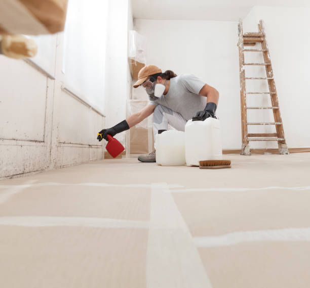 Best HVAC Mold Inspection and Cleaning  in Ansted, WV